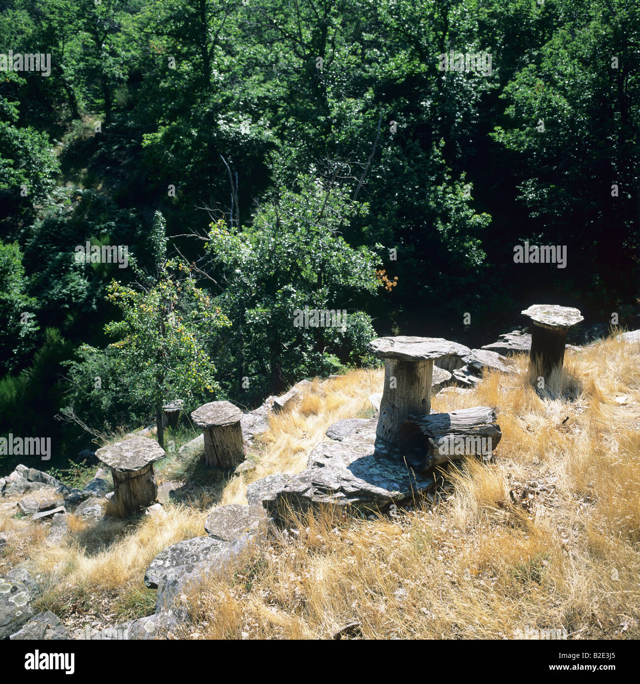 Ruches construites avec chestnut tree trunk et surmontées de lauze Vivarais Ardèche France Europe Banque D'Images