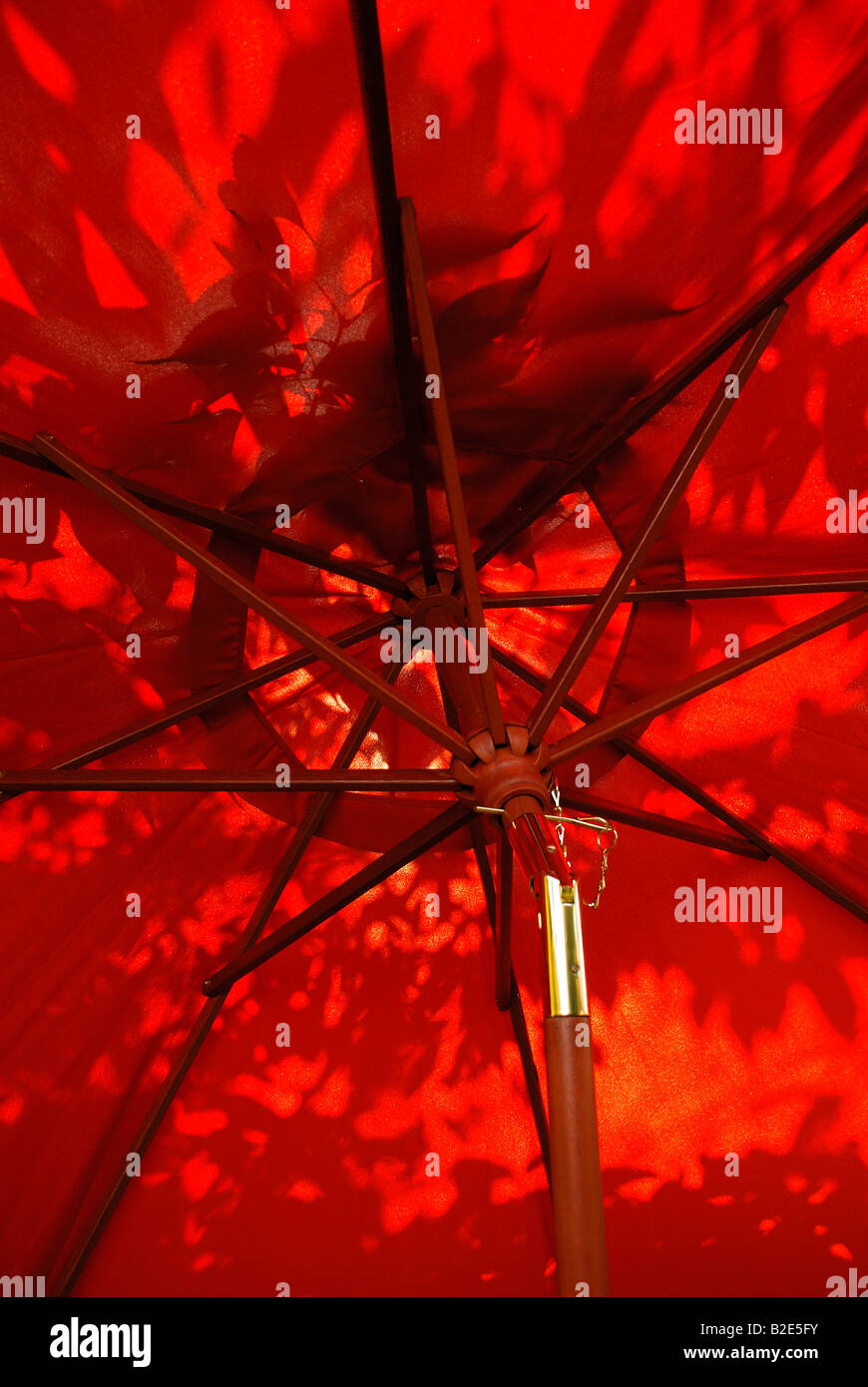 Jardin parasol rouge avec des motifs de feuilles et de la lumière du soleil. Banque D'Images