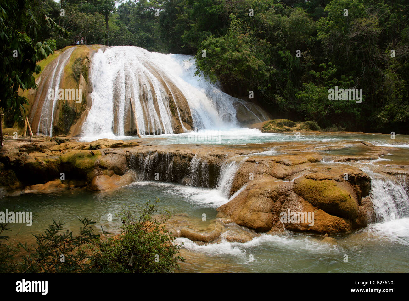 Le Cataratas de Agua Azul Palenque, Chiapas, Mexique, de l'État. Banque D'Images