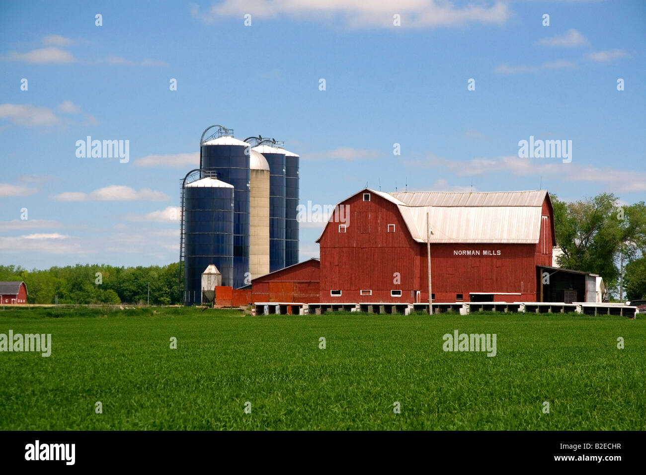 Ferme entourée de blés verts à St Louis au Michigan Banque D'Images
