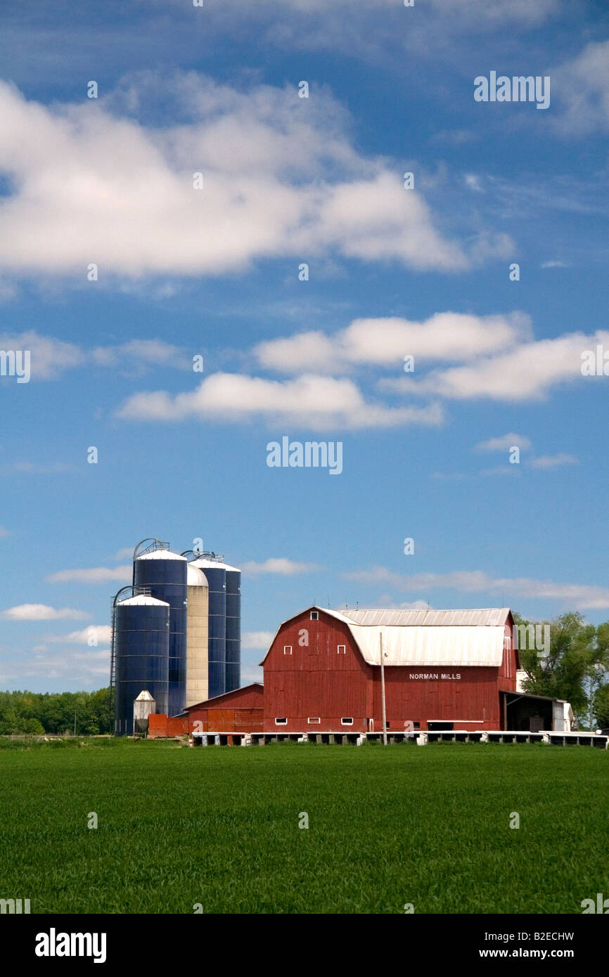 Ferme entourée de blés verts à St Louis au Michigan Banque D'Images