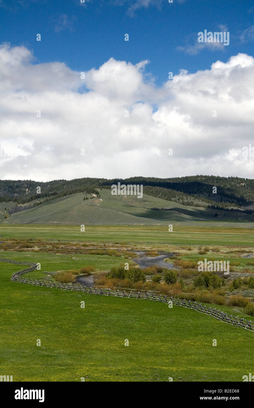 La vallée du ruisseau de près de Stanley Idaho Banque D'Images