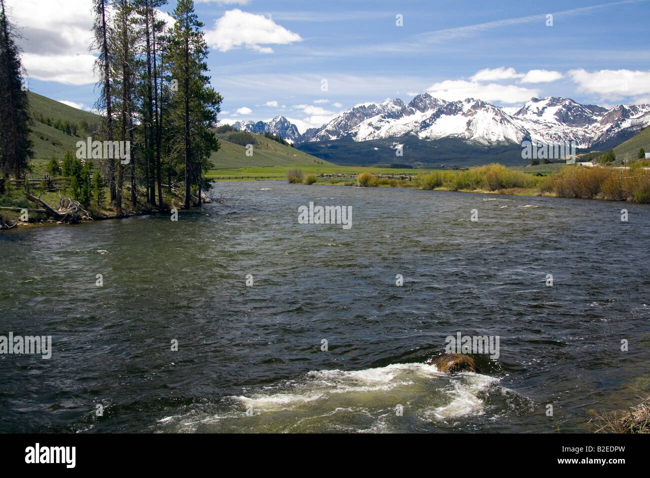 La rivière Salmon qui coule à travers la vallée de la scie au-dessous de la gamme de montagne de scie près de Stanley Idaho Banque D'Images