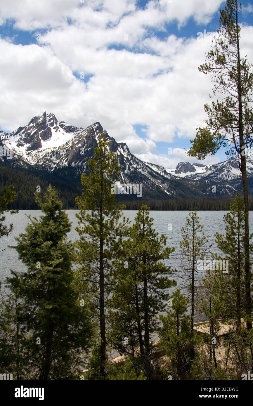 Stanley Lake et la chaîne de montagnes de scie près de Stanley Idaho Banque D'Images