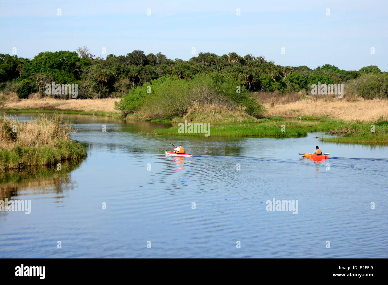 La Floride Myakka River Banque D'Images