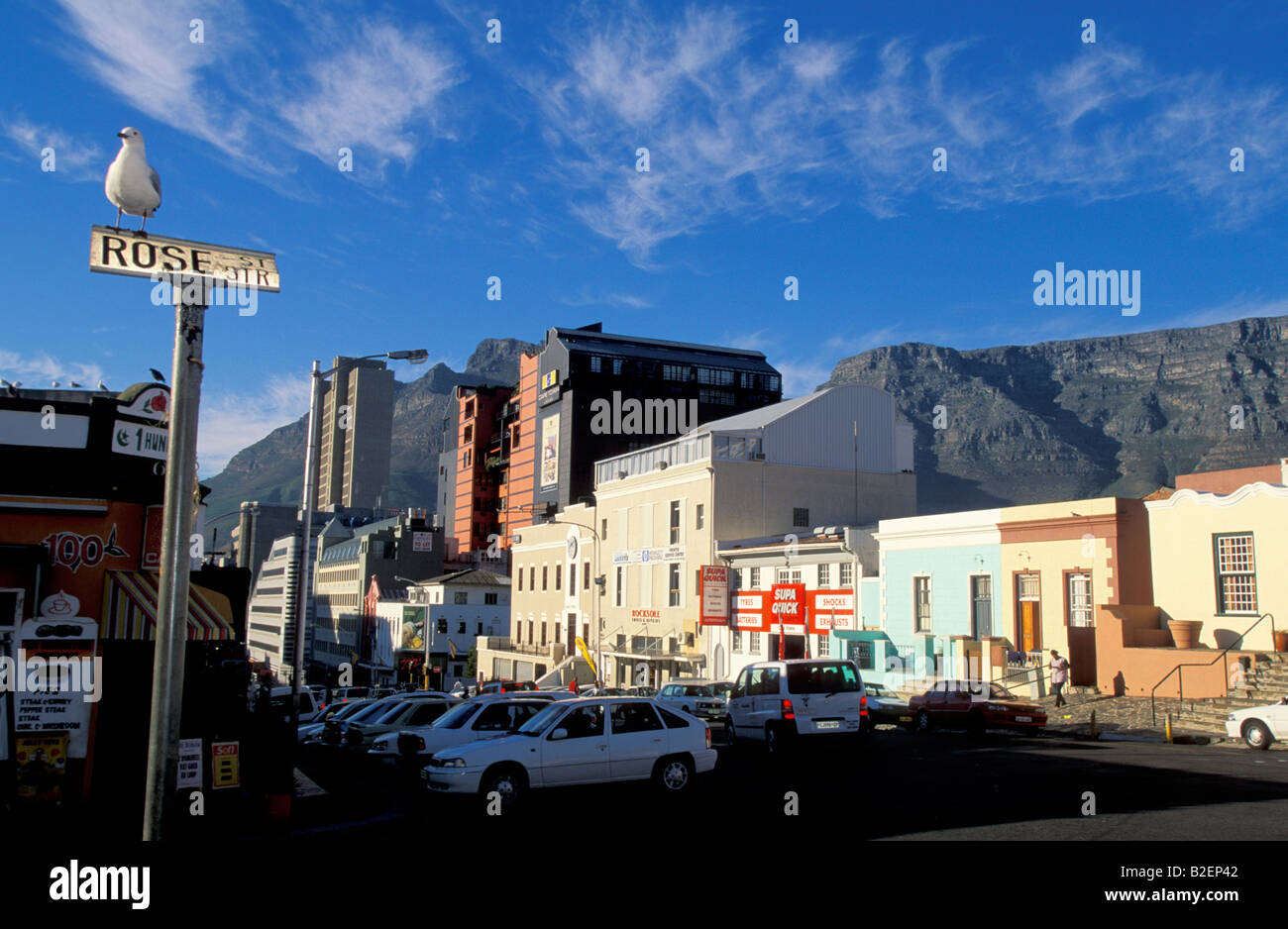 Rose Street View de la maisons colorées de la Bo Kaap, Table Mountain, dans l'arrière-plan et d'une mouette assis sur un panneau routier Banque D'Images