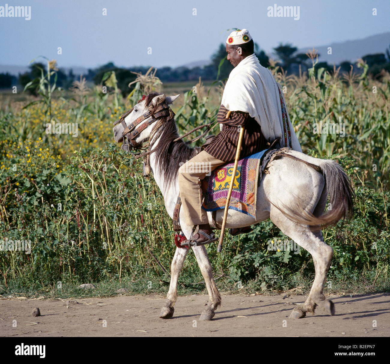 Un homme sur son marché à tours-caprisoned gaiement poney. Son saddlecloth est brodé avec l'Ethiopie impériale du lion. Banque D'Images