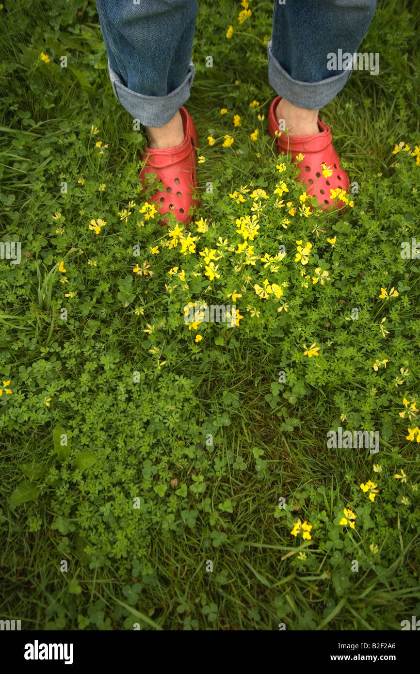 L'herbe verte avec des pieds humains autour de crocs dans un pré en  Nouvelle Angleterre de parc du Nord lors d'une escapade de fin de voyager  dans l'été Photo Stock - Alamy