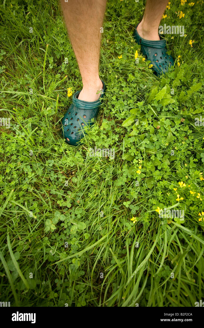 L'herbe verte avec des pieds humains autour de crocs dans un pré en Nouvelle Angleterre de parc du Nord lors d'une escapade de fin de voyager dans l'été Banque D'Images
