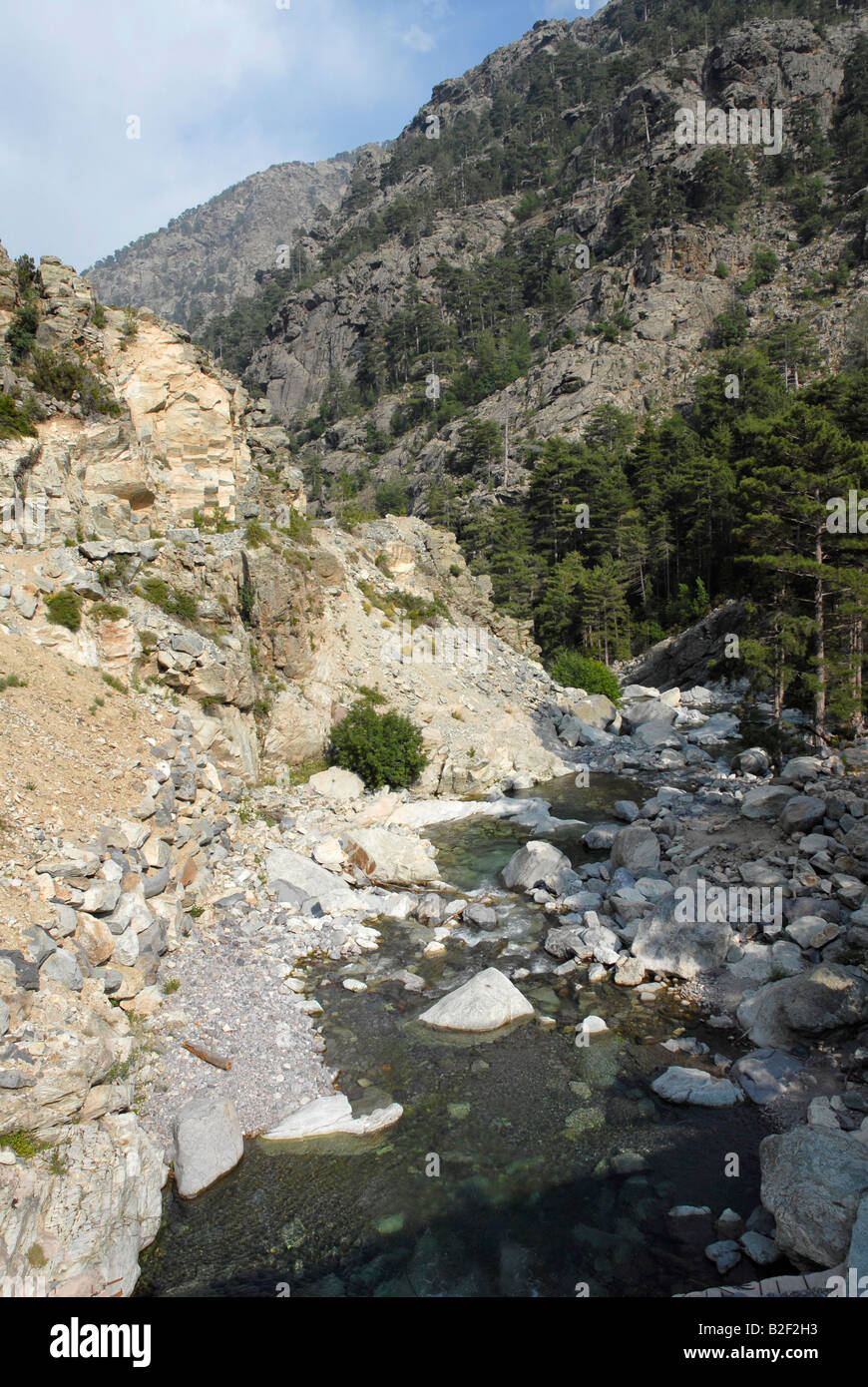 Un flux à travers la zone montagneuse à l'ouest de Corte en Corse du nord Banque D'Images