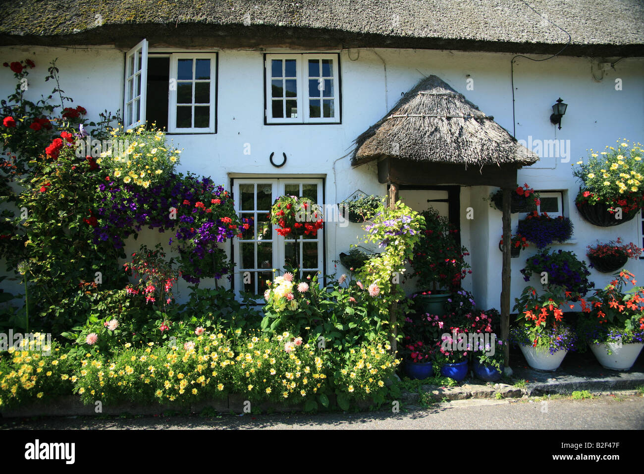 Beau blanc peint s/n et de chaume chalets avec fleur d'été affichage à Branscombe, l'un des plus anciens villages de Devon Banque D'Images