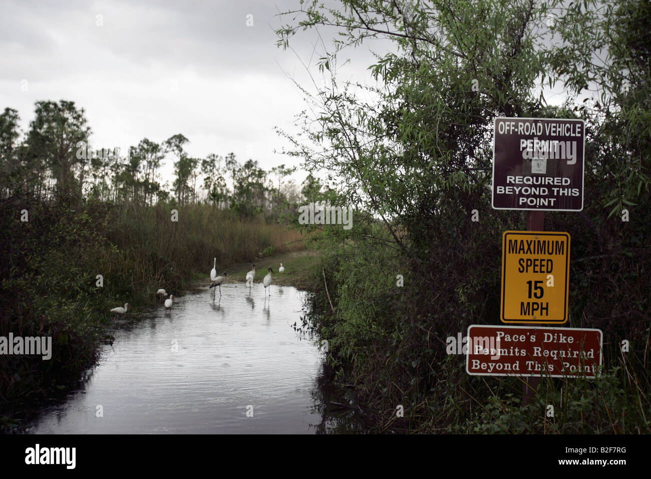 Everglades de Floride, véhicule hors route voie Banque D'Images