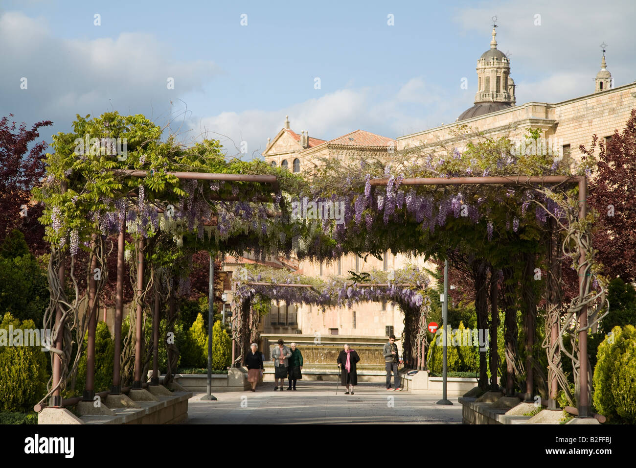 Espagne Salamanque des dames plus âgées à pied sous la glycine floraison vignes couvrir les frais généraux en treillis park près de l'université Banque D'Images