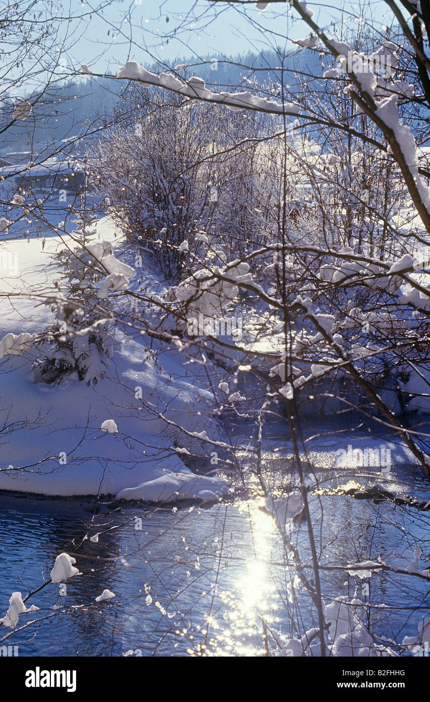 - Hiver paysage Banque D'Images