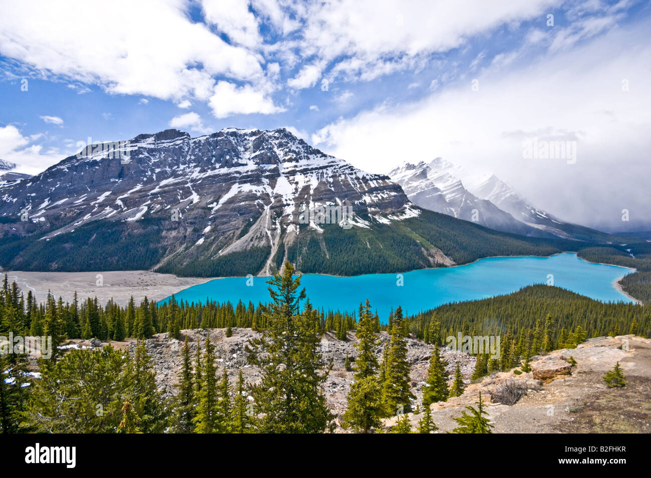 Le lac Peyto vu de sommet Bow, dans le parc national Banff Canada sur une date juin ensoleillée Banque D'Images