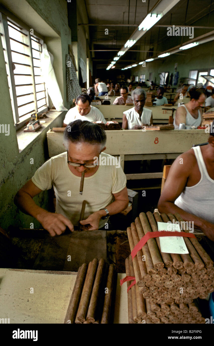 Les hommes qui travaillent et fumeurs de cigare dans une usine de laminage à Pinar del Rio, Cuba Banque D'Images