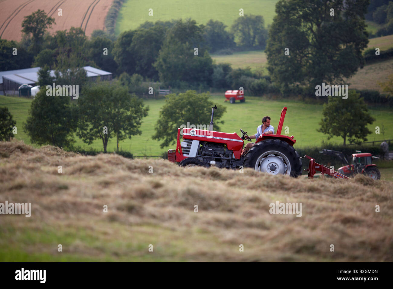 Farmer assis sur un vieux tracteur Massey Ferguson 185 tirant un haymaker pièce jointe dans un champ le foin county down Banque D'Images