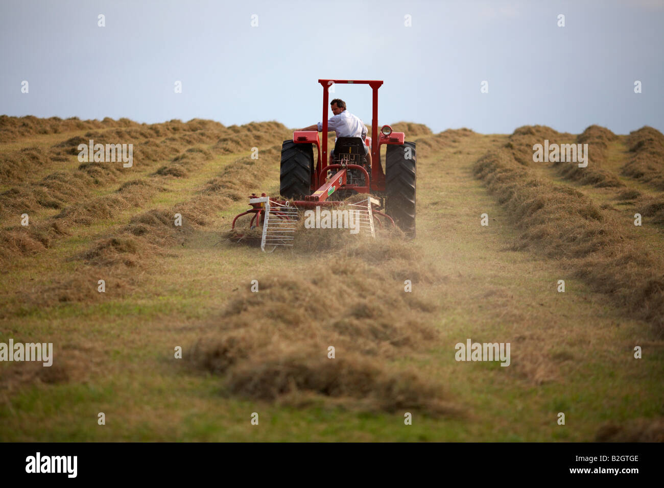 Farmer assis sur un vieux tracteur Massey Ferguson 185 tirant un haymaker pièce jointe dans un champ le foin county down Banque D'Images