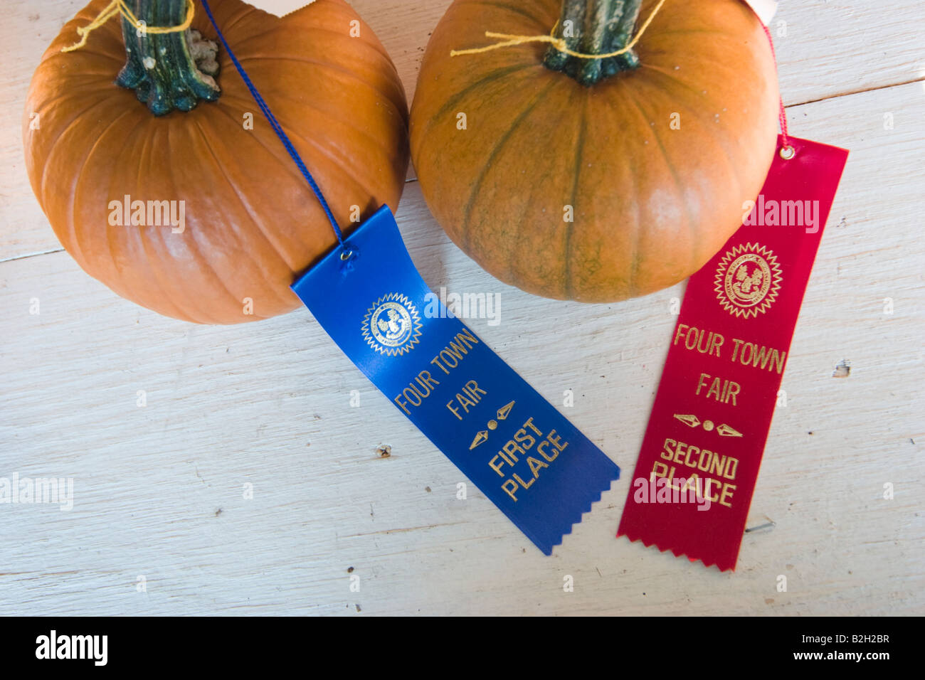 Les citrouilles avec la première et deuxième place ribbons rattachées Banque D'Images