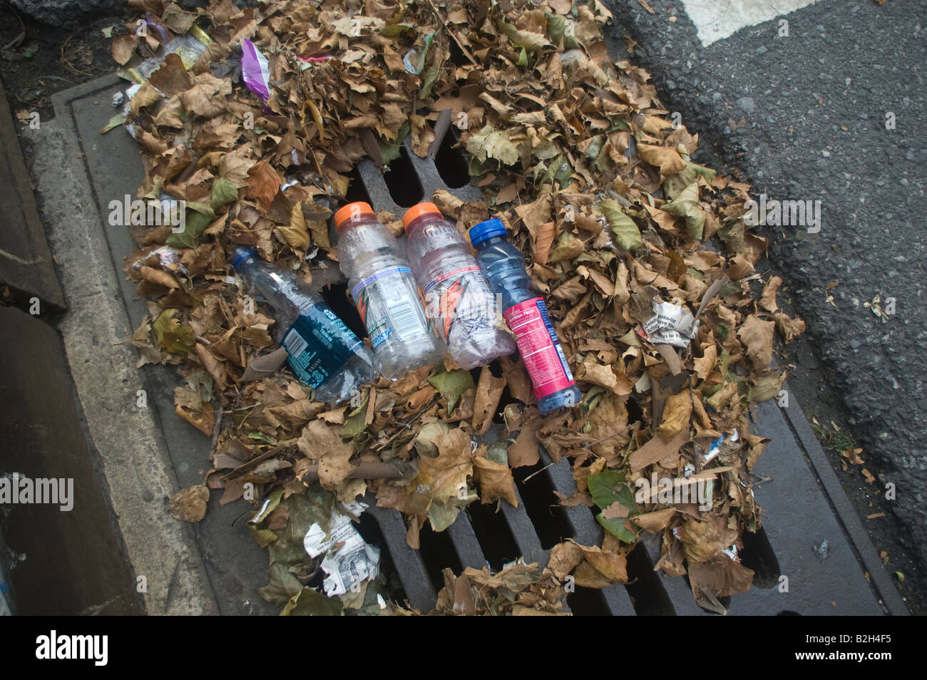 Le colmatage de l'eau pluvial dans quartier de Chelsea à New York Banque D'Images