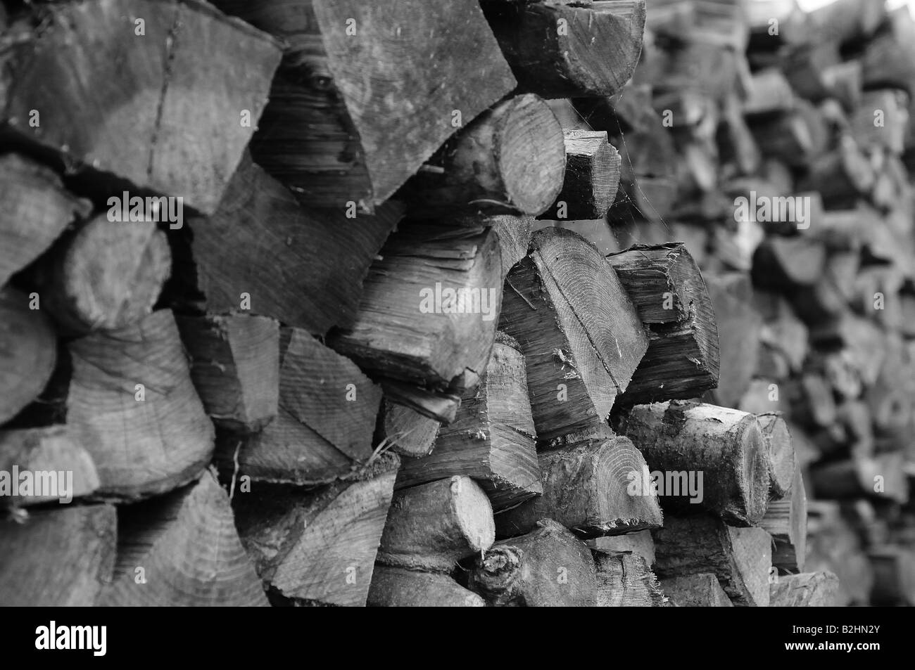 Une photo en noir et blanc de cordes de bois dans un champ pays, pour le chauffage pendant les mois d'hiver. Un joli économiseur d'écran. Banque D'Images