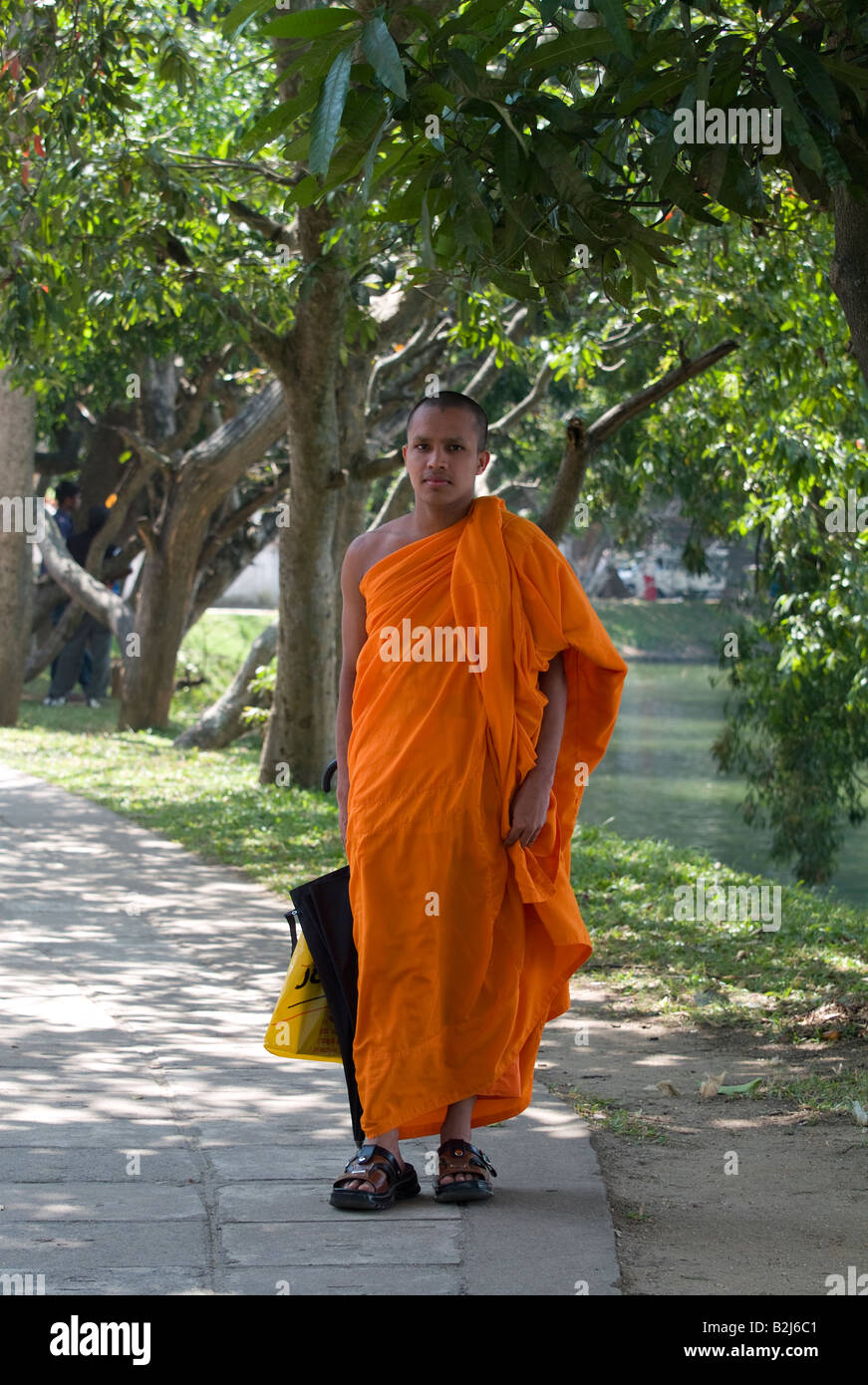 Jeune moine bouddhiste,Kandy.Sri Lanka Banque D'Images