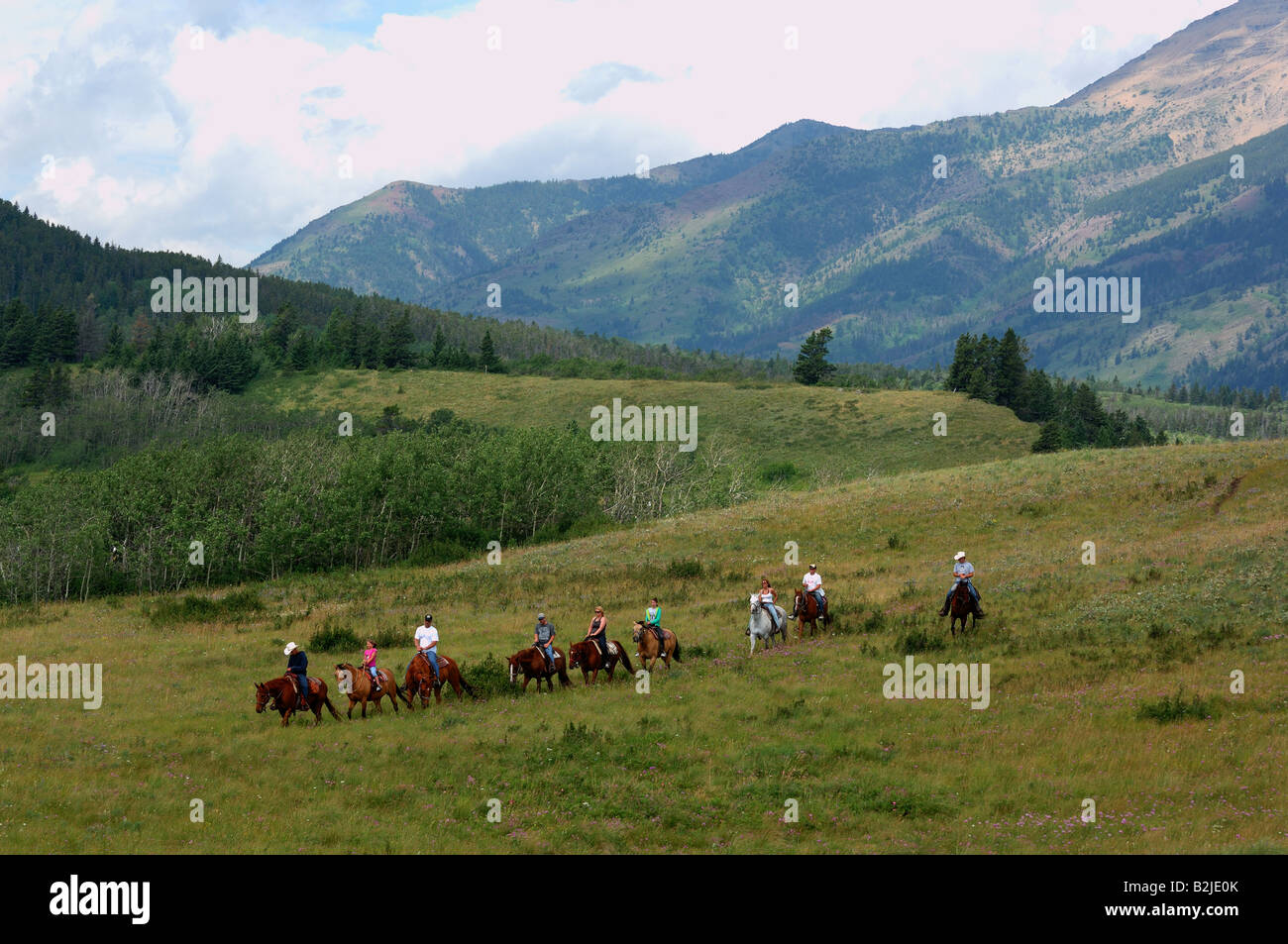 Un tour de piste Banque D'Images