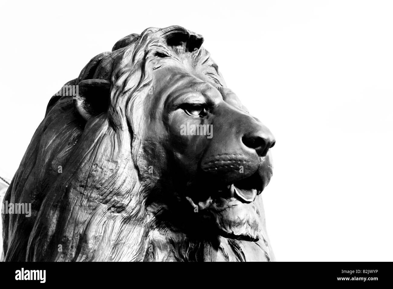 Lion sculpture, la Colonne Nelson de Trafalgar Square London England Banque D'Images