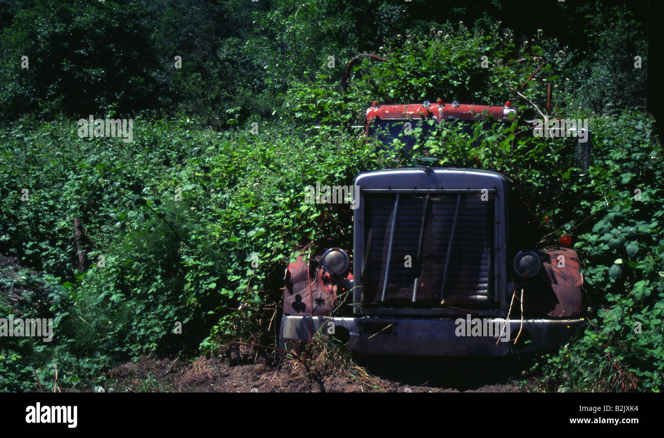 Gros camion Freightliner ou assis Kenworth oublié dans la prolifération de mauvaises herbes et de la végétation Banque D'Images