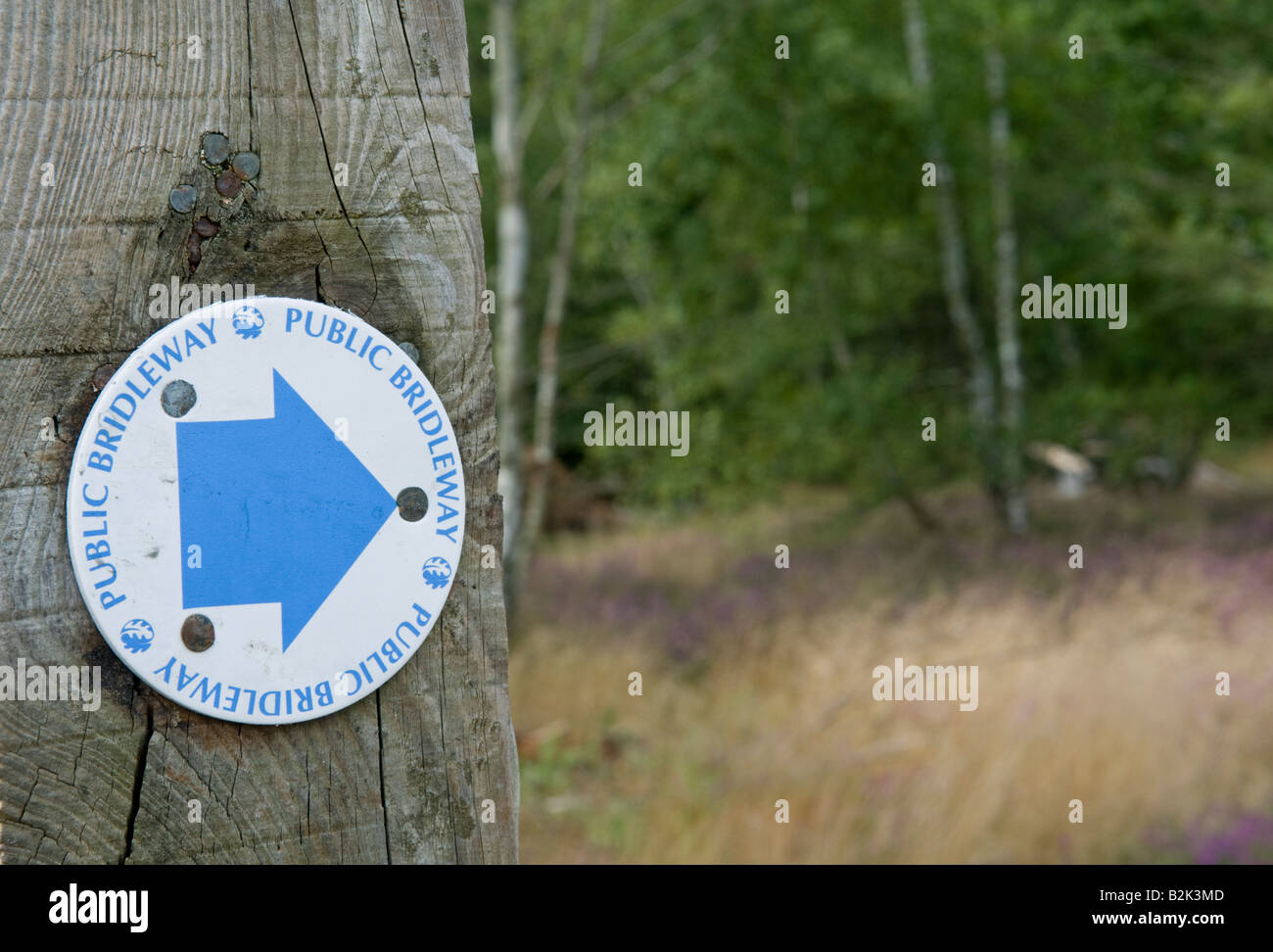 Bridleway Public signe. Réserve naturelle nationale commune Thursley Surrey England Banque D'Images