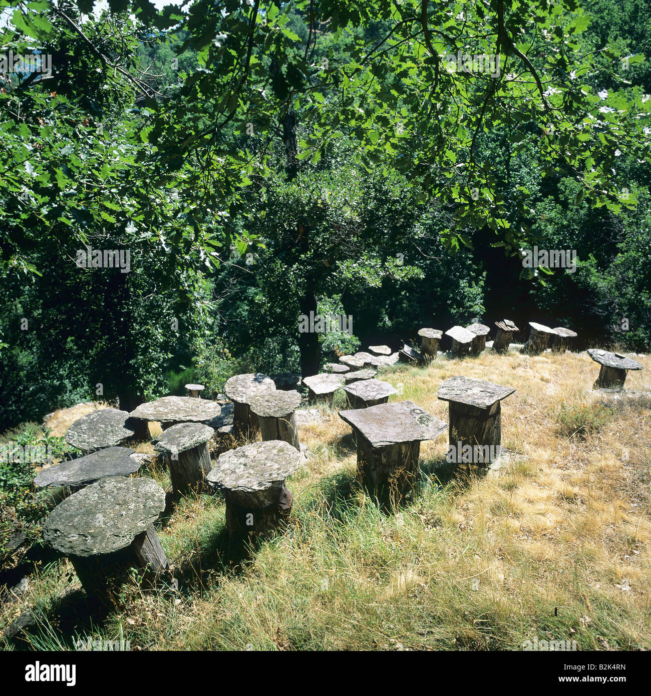 Ruches construites avec chestnut tree trunk et surmontées de lauze Ardèche France Banque D'Images