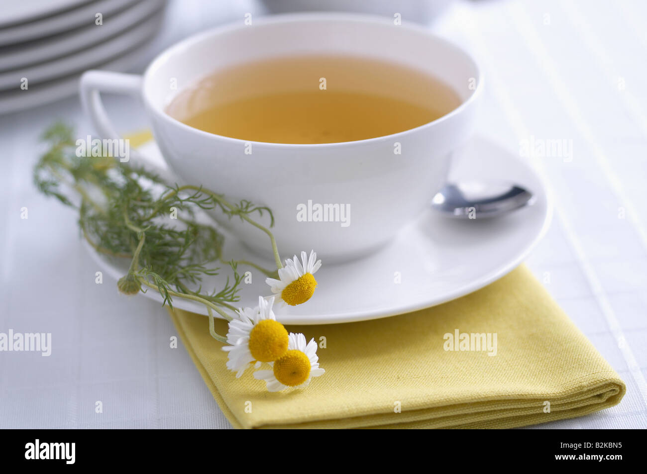 Tasse de thé avec des feuilles de Camomille Camomille Banque D'Images