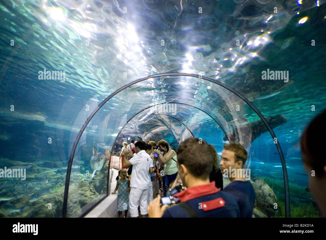 Aquarium, Barcelone Catalogne Espagne Banque D'Images
