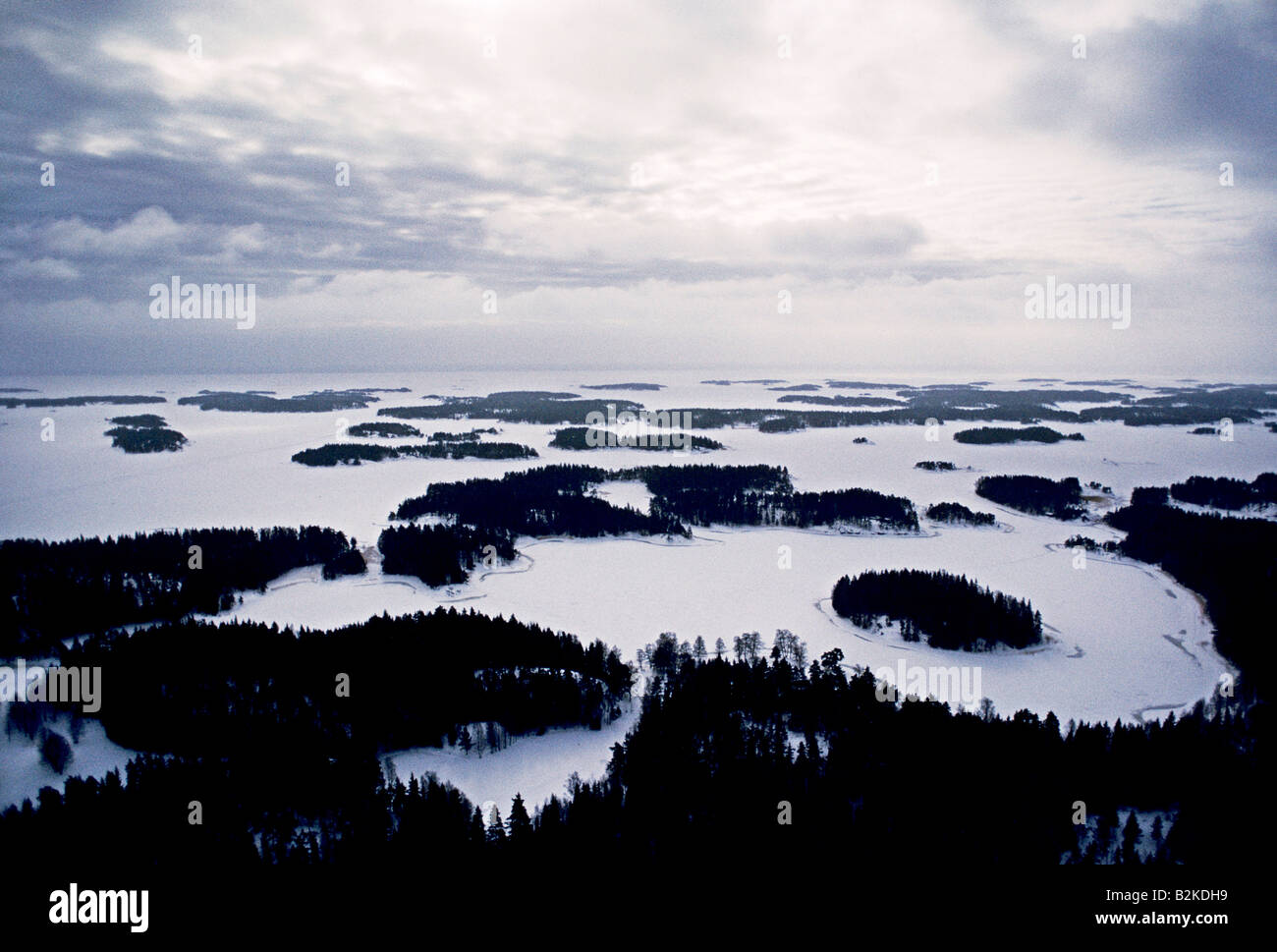 Vue aérienne de la forêt Finlande Banque D'Images