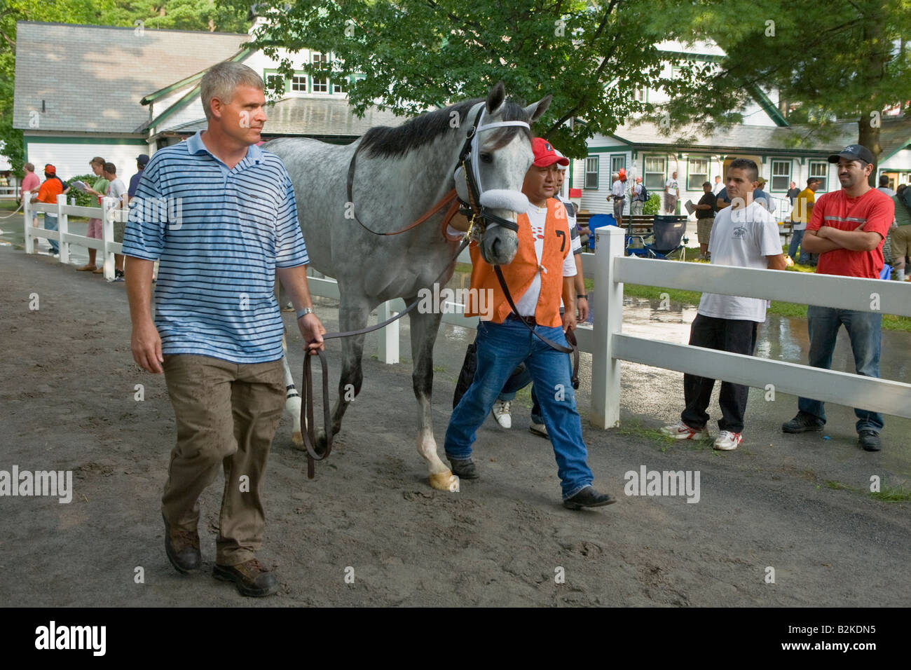 Les chevaux qui sont accompagnés d'enclos à Saratoga Race Track Saratoga Springs dans l'État de New York Banque D'Images