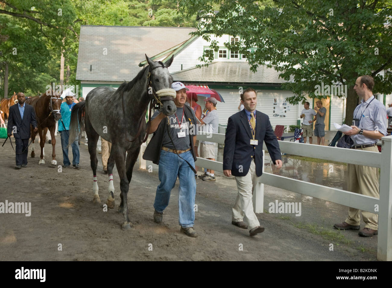 Les chevaux qui sont accompagnés d'enclos à Saratoga Race Track Saratoga Springs dans l'État de New York Banque D'Images