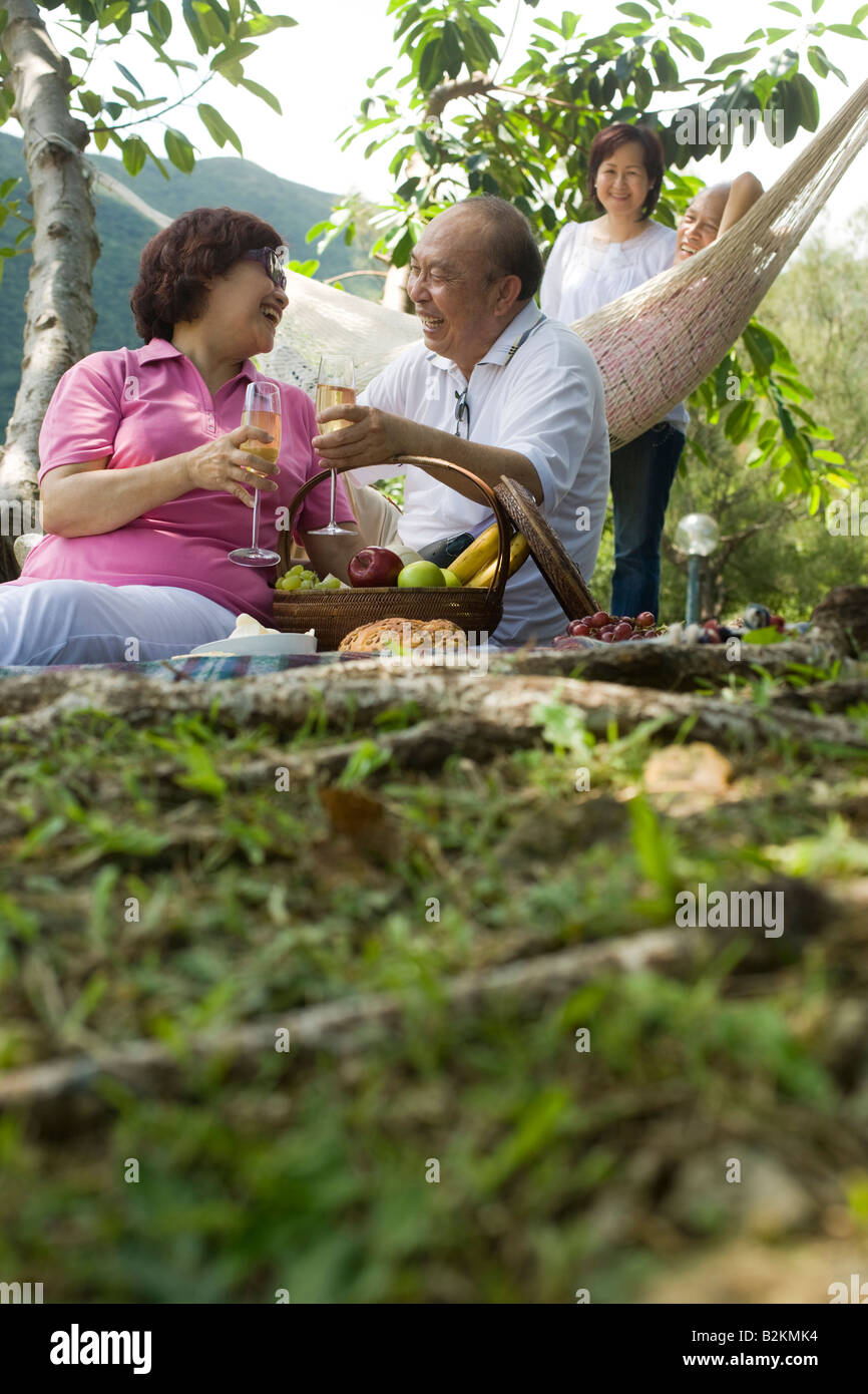 Man a mature woman toasting avec des verres à vin à un pique-nique Banque D'Images