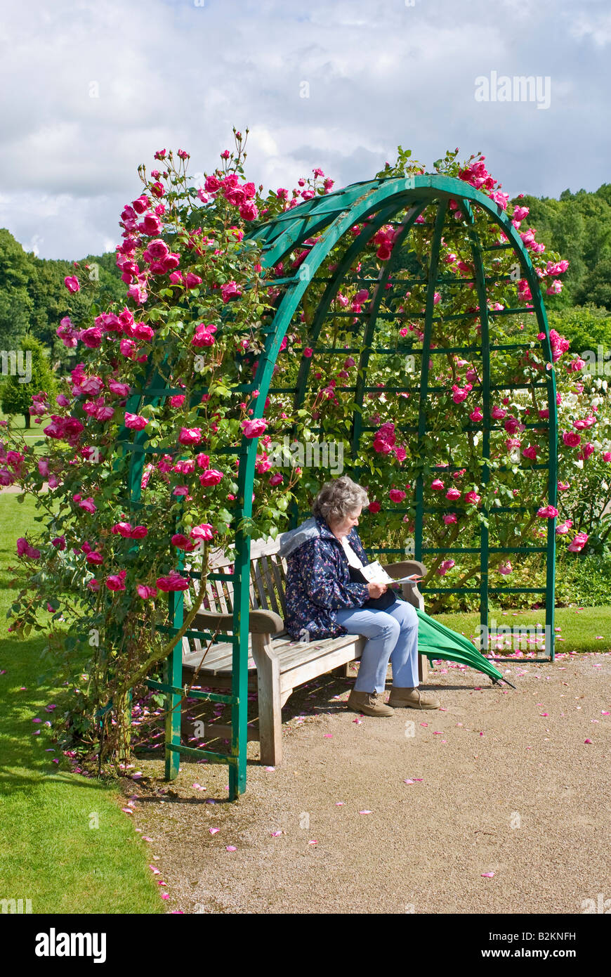 Tonnelle De Jardin De Rose Banque d'image et photos - Alamy