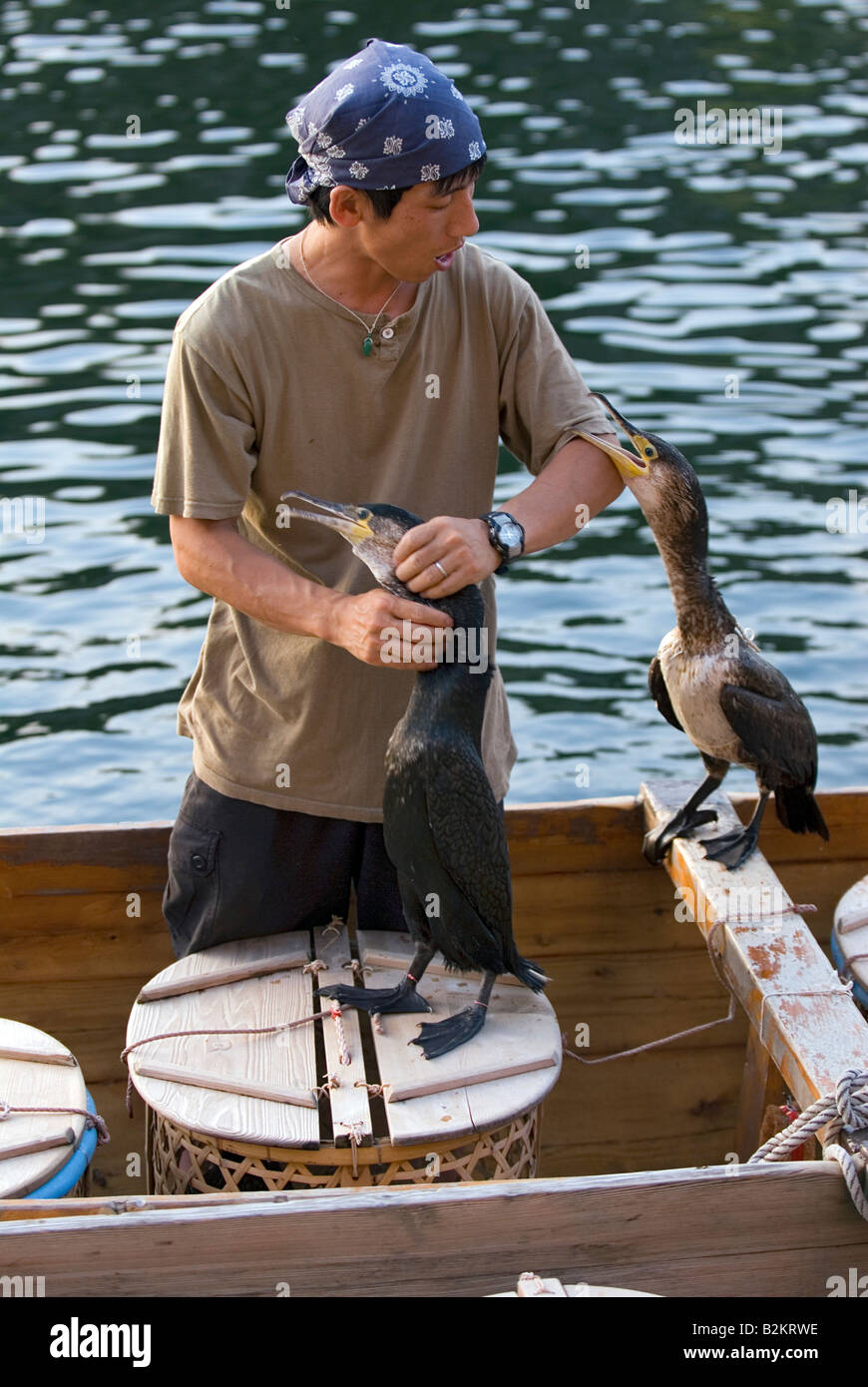 Cormoran pêcheur avec deux de ses oiseaux se préparent à aller pêcher sur la rivière Kiso Inuyama en Japon Banque D'Images