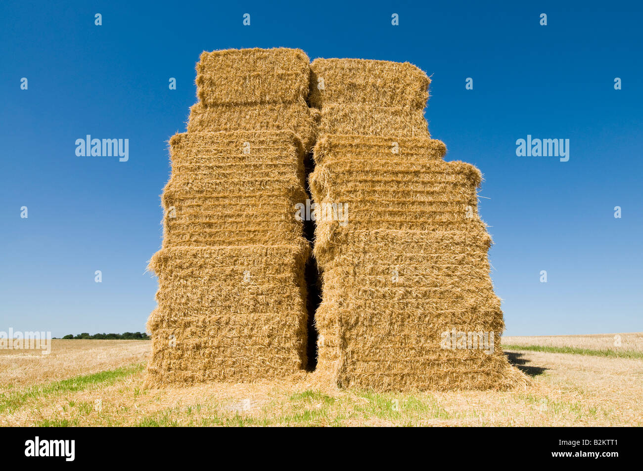 Des bottes de paille empilées, Indre-et-Loire, France. Banque D'Images