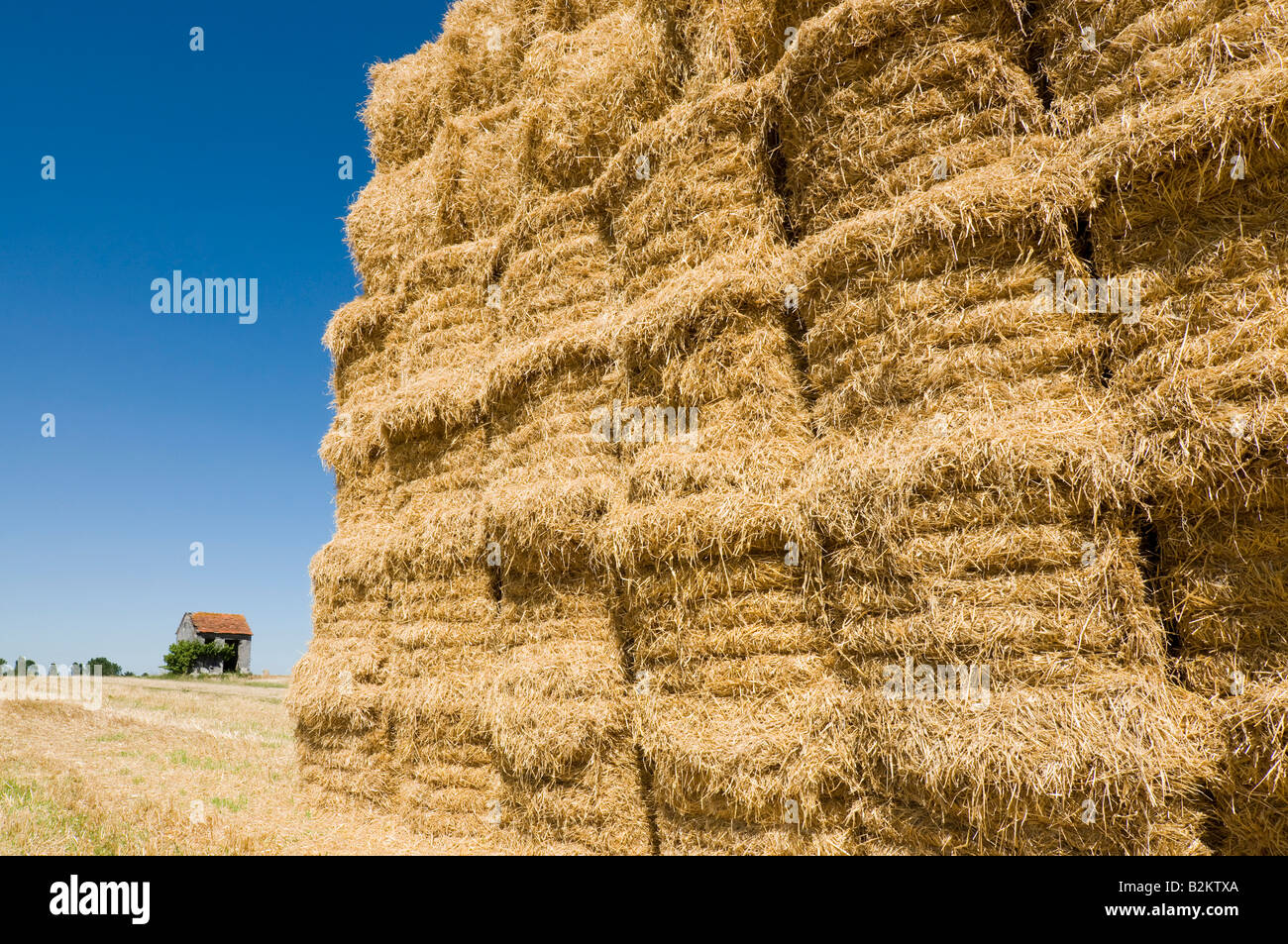 Des bottes de paille empilées et travailleur old vine's shelter, Indre-et-Loire, France. Banque D'Images