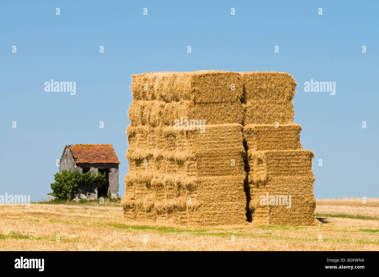 Des bottes de paille empilées et travailleur old vine's shelter, Indre-et-Loire, France. Banque D'Images