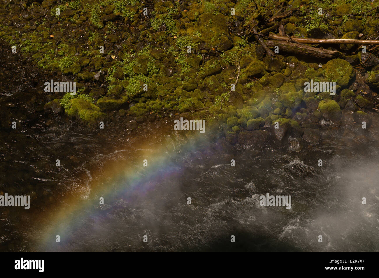 Un arc-en-ciel brille au fond d'une cascade plus de couleur vert vif, des roches couvertes de mousse dans l'Oregon. Banque D'Images