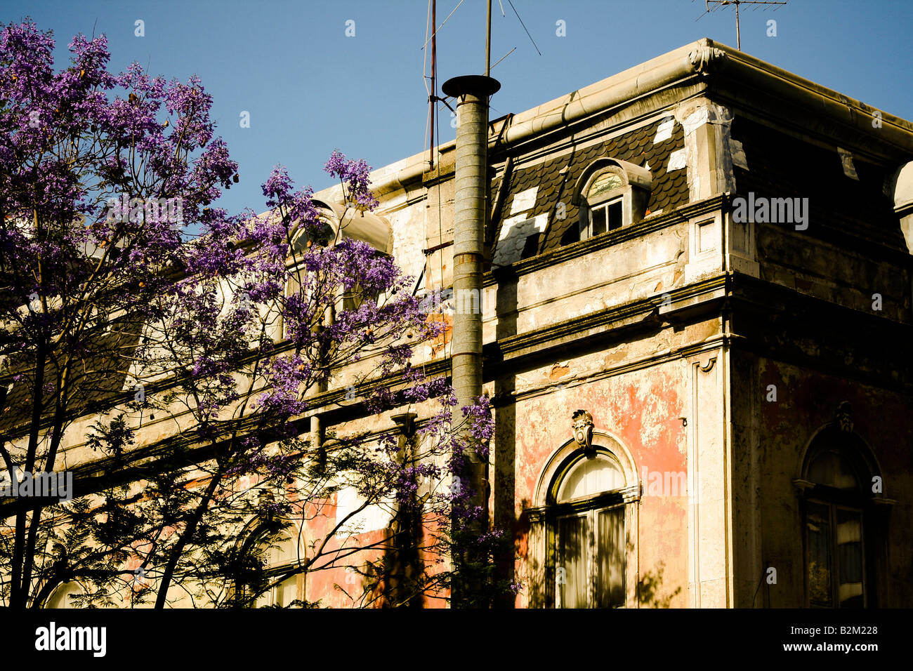 Ciel avec Lisbonne jacarandas Banque D'Images
