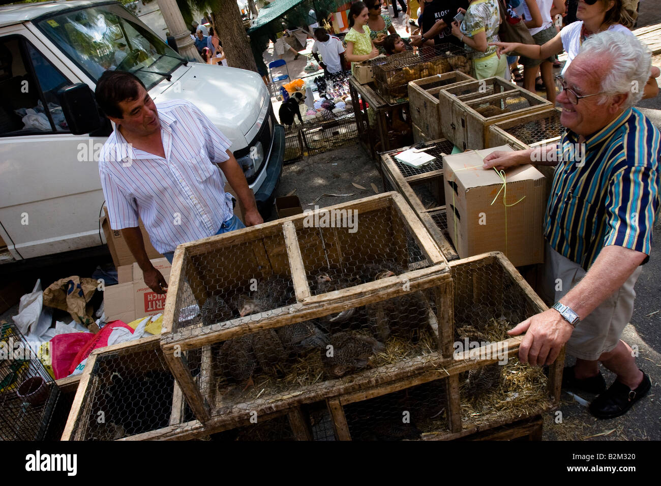Volailles vendus du marché agricole en Sineu, Majorque, Îles Baléares, Espagne Banque D'Images