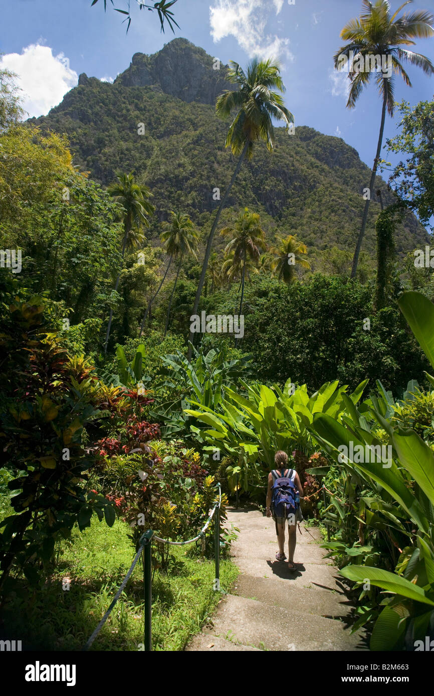 Une femme marche dans le sentier de la nature à l'eau chaude naturelle minéral Falls à St Lucia Petit Piton est visible dans la distance Banque D'Images