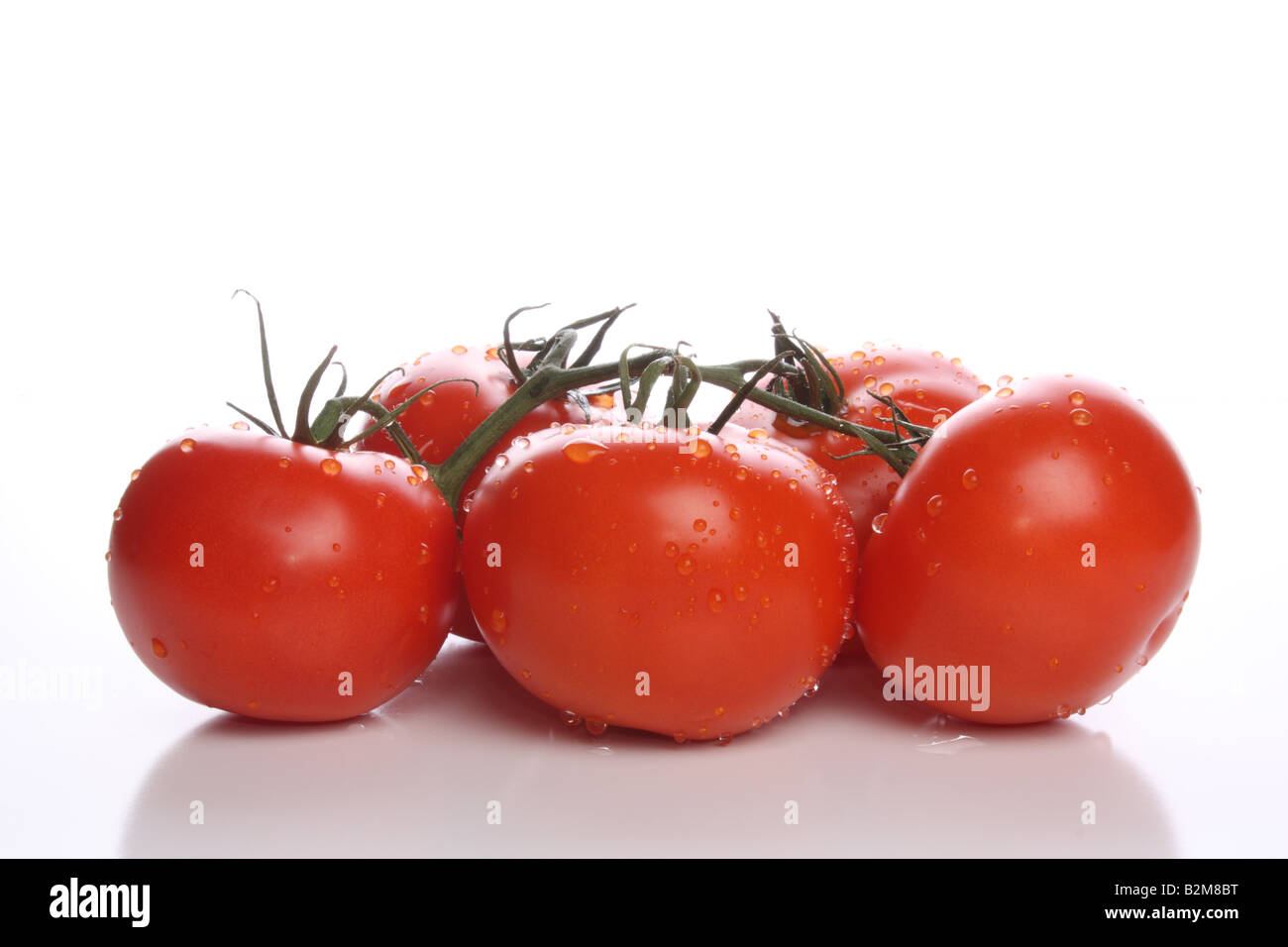 Les tomates sur vigne rouge Banque D'Images