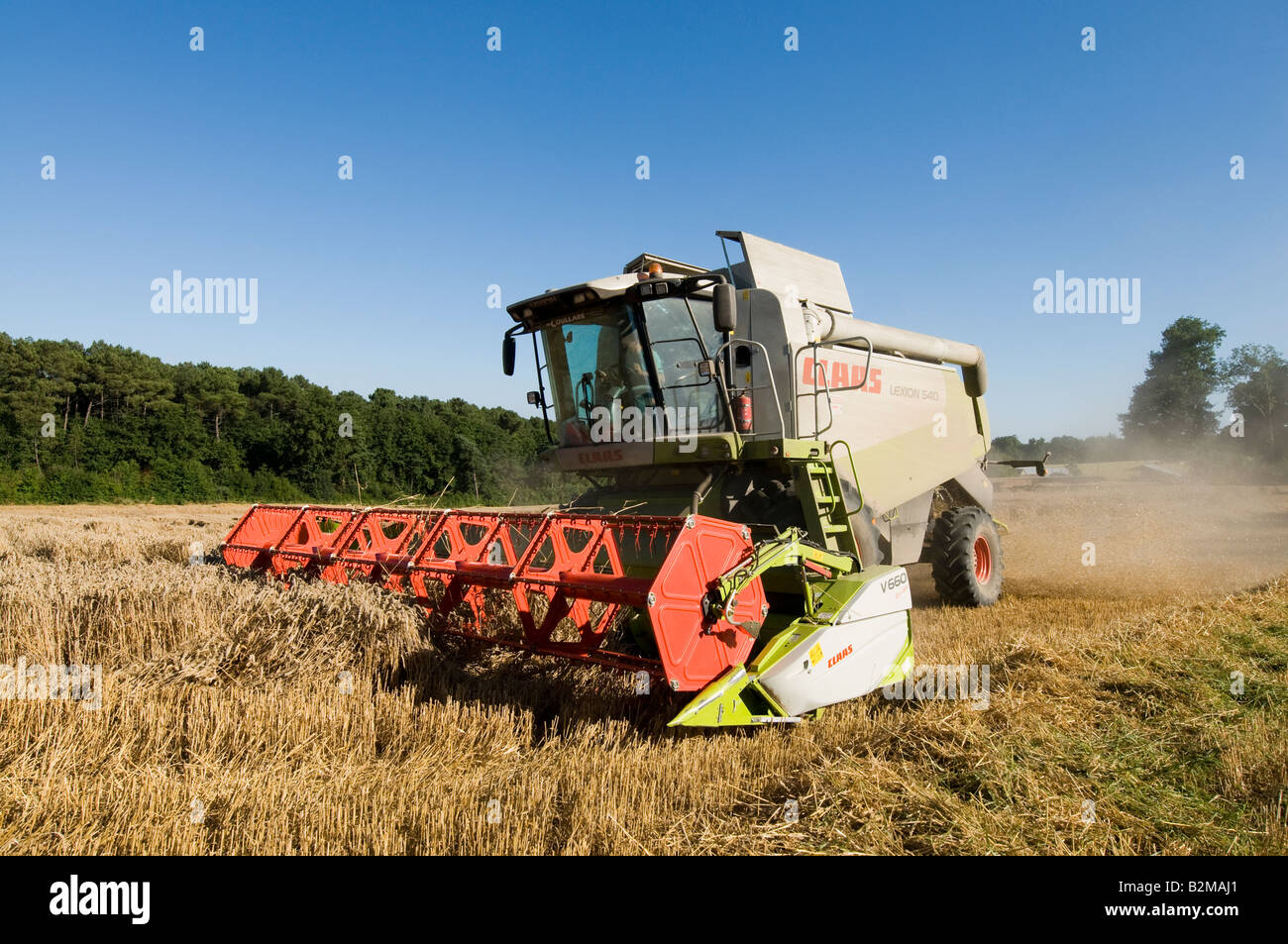 'Rendmt Lexion Claas 540' à la moissonneuse-batteuse au travail, sud-Touraine, France. Banque D'Images