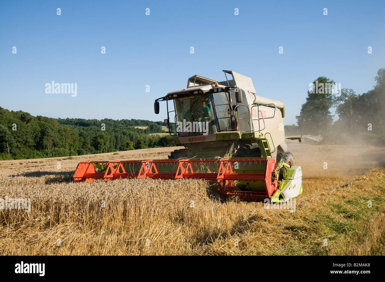 'Rendmt Lexion Claas 540' à la moissonneuse-batteuse au travail, sud-Touraine, France. Banque D'Images