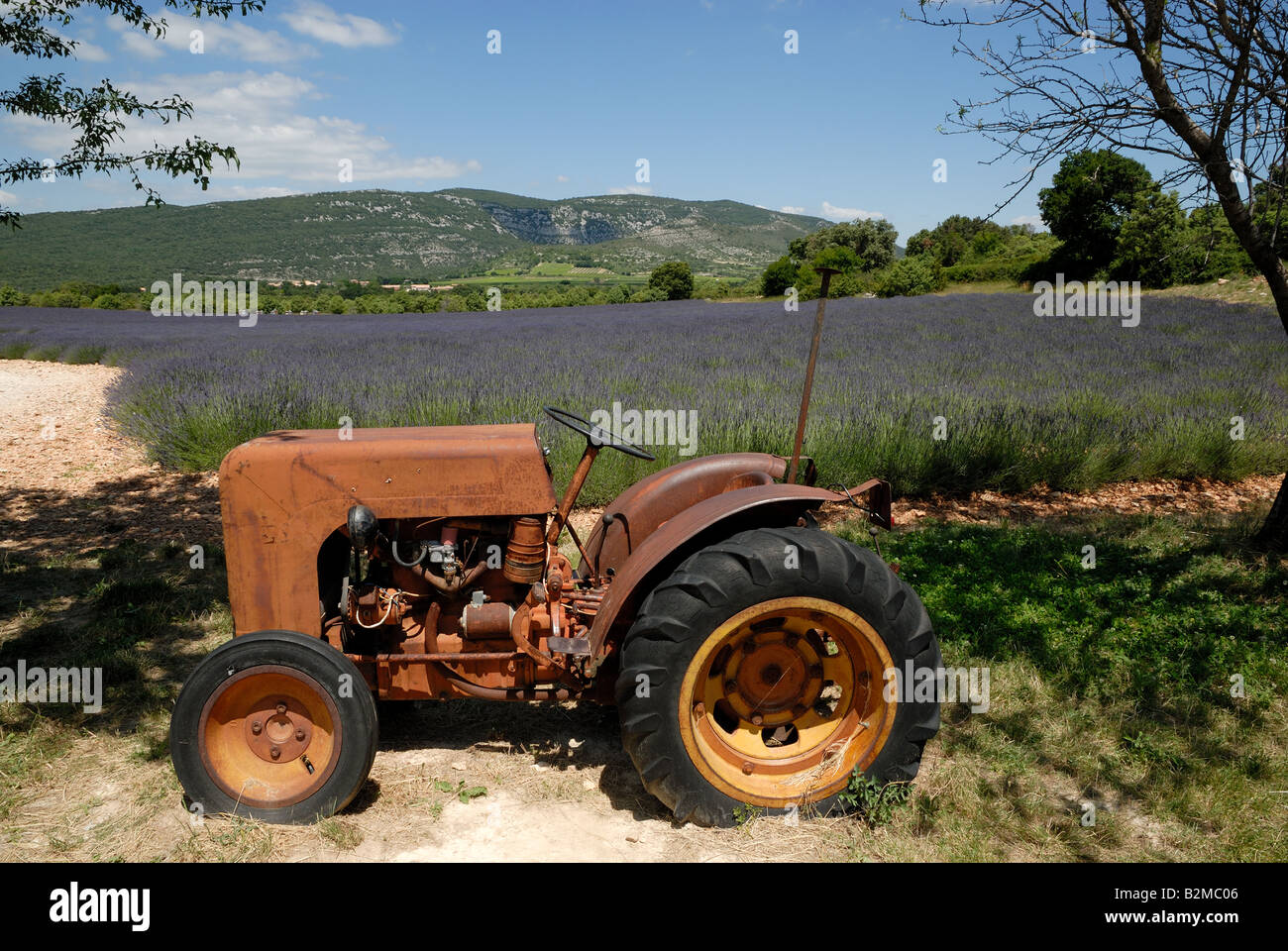 Vieux tracteur et champ de lavande dans le contexte en France Banque D'Images